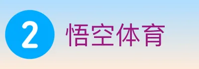 悟空体育 logo